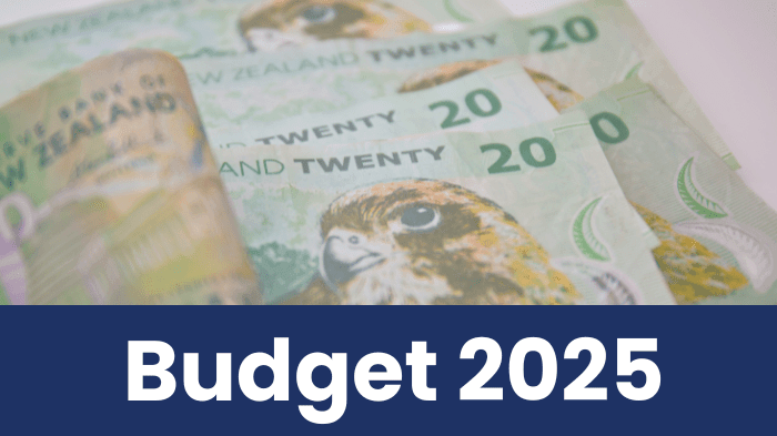 Budget 2025 offers limited relief for primary care