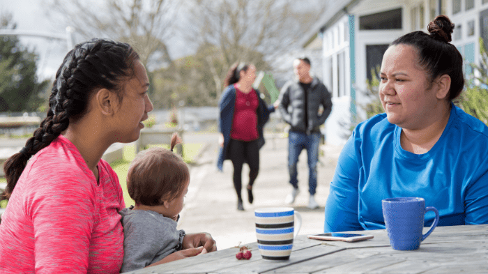 Results of network survey: 100 day action plan and smokefree repeal