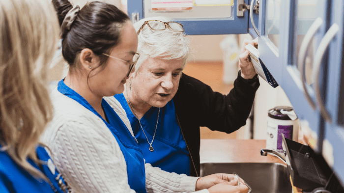 Pinnacle welcomes investment in nursing workforce