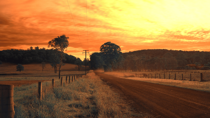 Are you passionate about advocating for rural general practice?