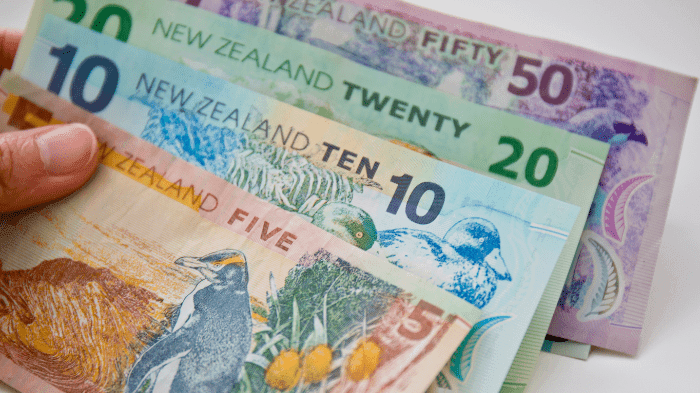 Update: Equity adjustment to capitation begins rollout this month