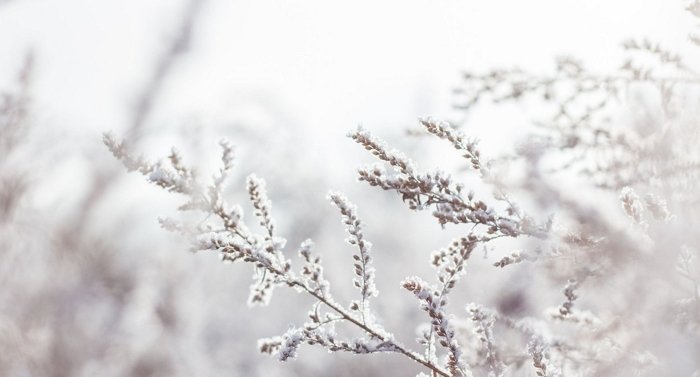 Winter planning and “streaming”